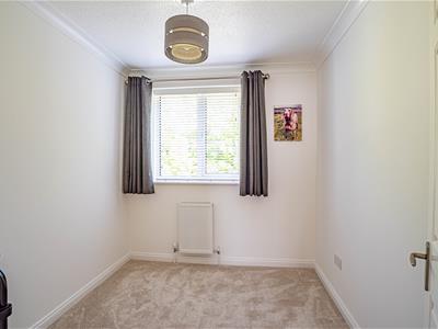 Picture 14
